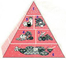 http://www.cdof.com.br/gifs/piramide.jpg