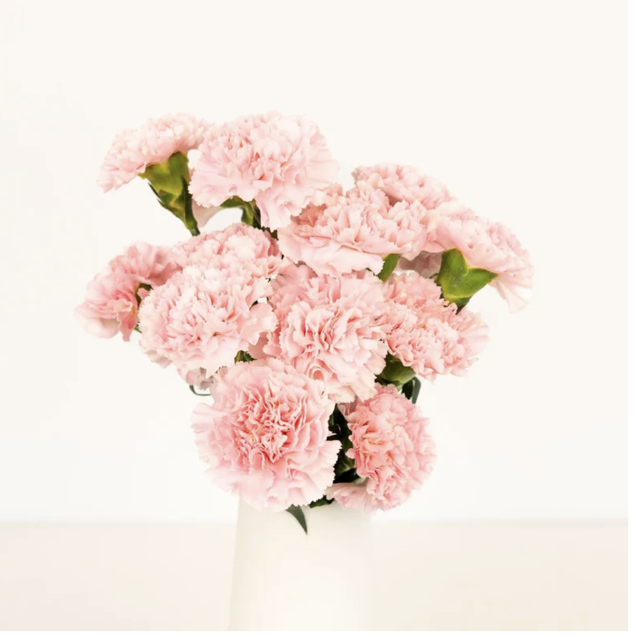 Pink Innocence Carnations in White Vase