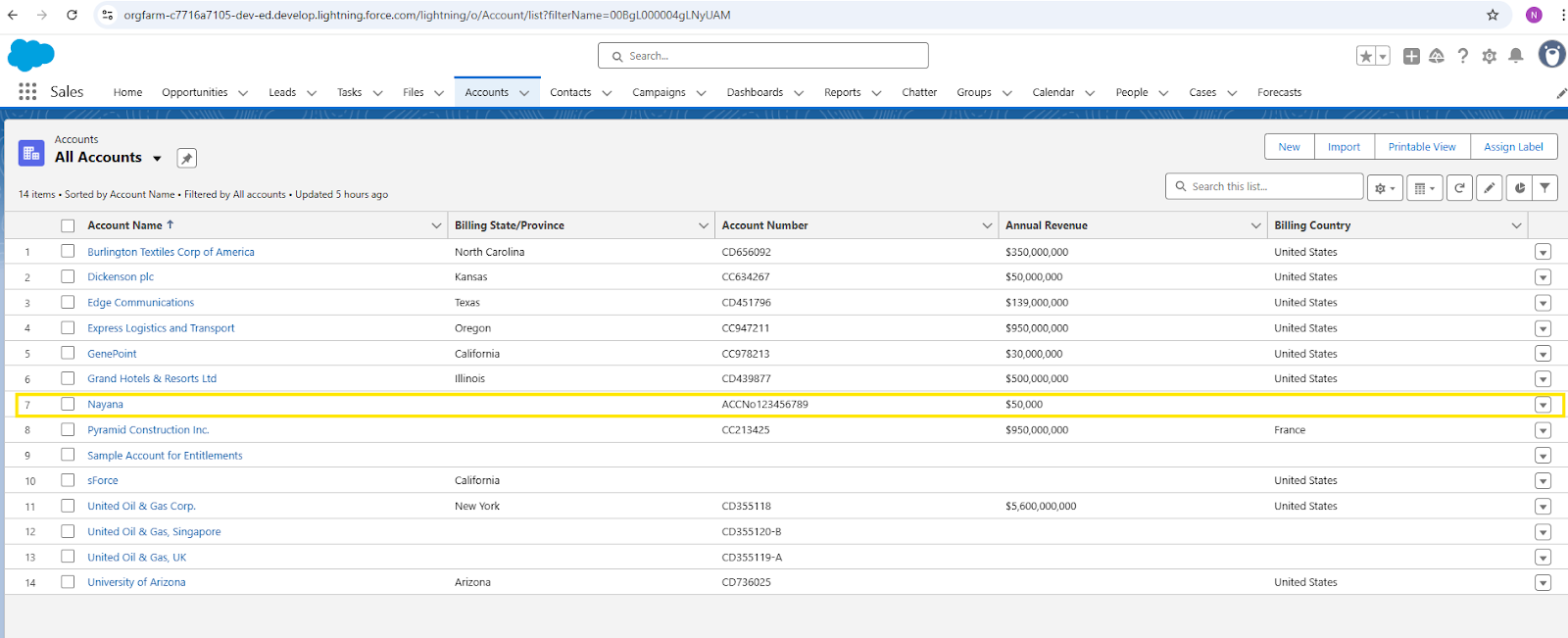 Salesforce Account Object
