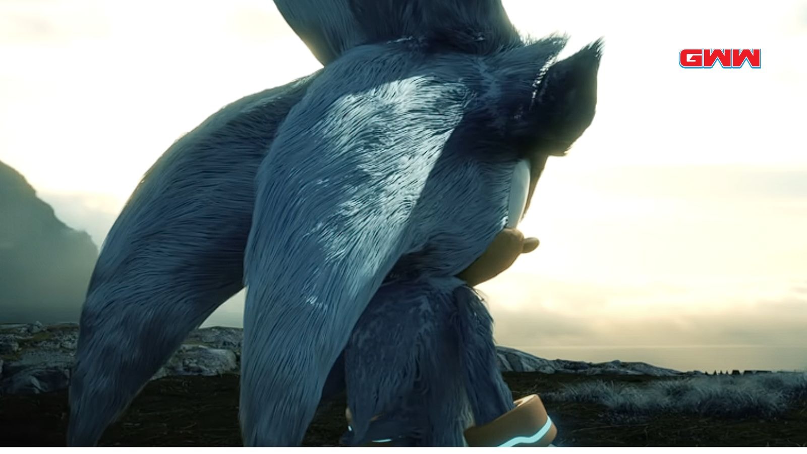 Sonic facing away, looking towards the horizon in the upcoming film.