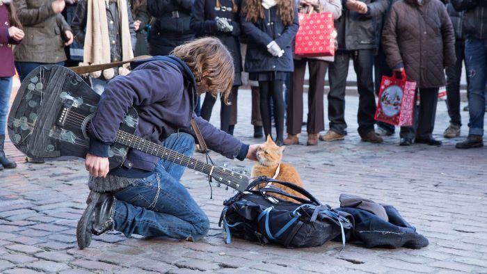 2.A STREET CAT NAMED BOB 3