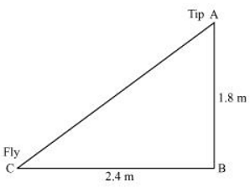 NCERT Solutions for Class 10/image074.png