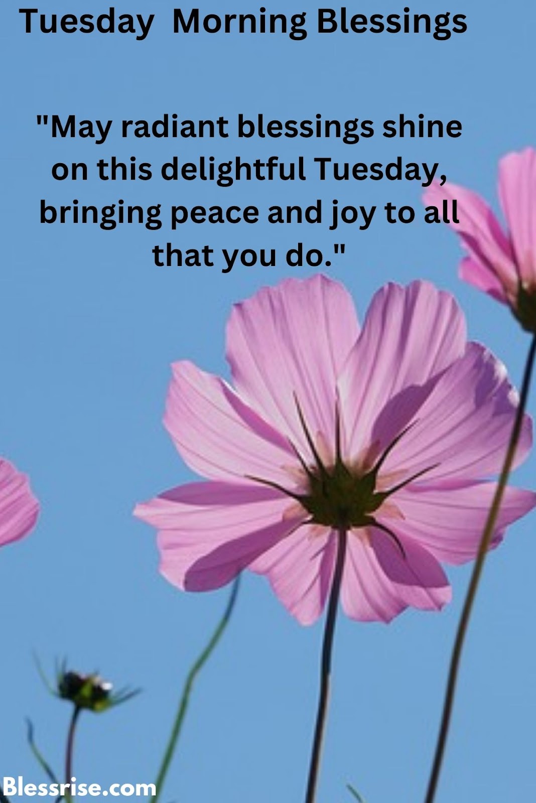 Tuesday morning blessings