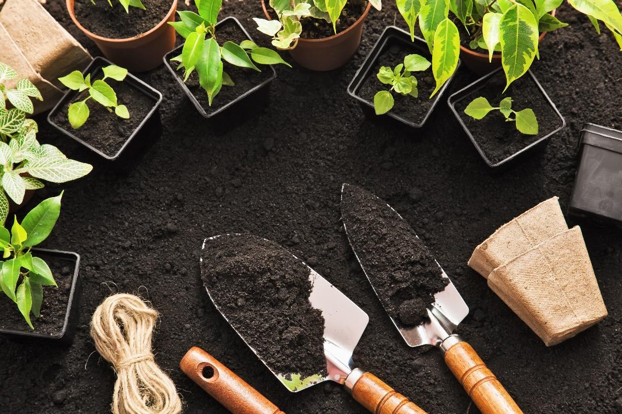 Gardening Tools to Help in Plant Therapy