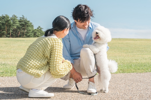 家族と白いトイプードル