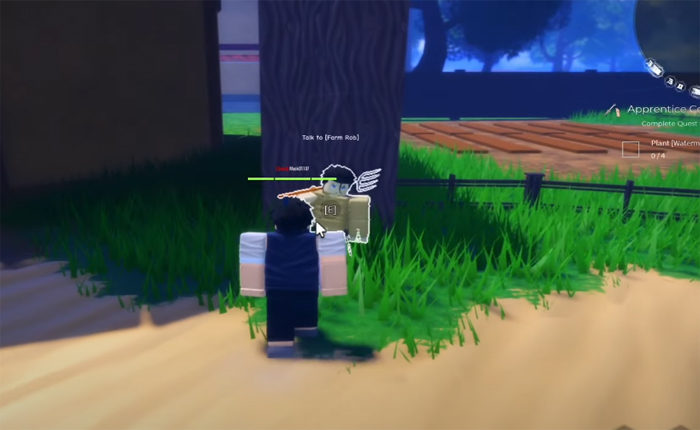 The Time of Ninja Watermelon Seed Guide