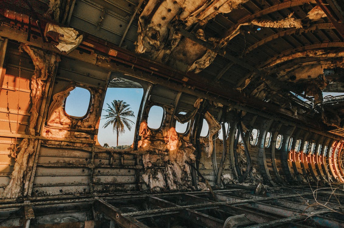 Inside a derelict aircraft looking out to a tree representing how the internal looks if you compare to the external.