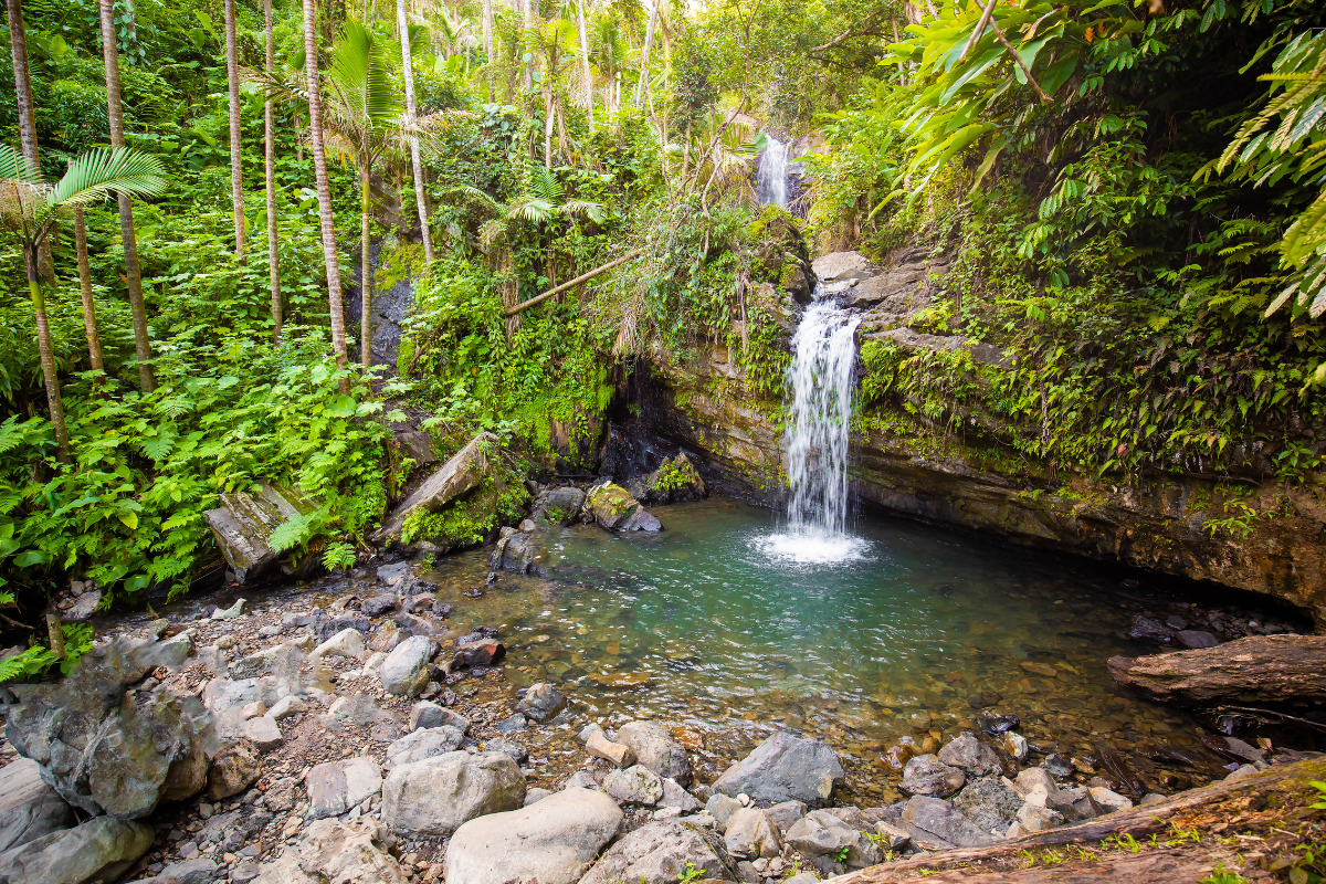 El Pavon- Costa Rica waterfalls 