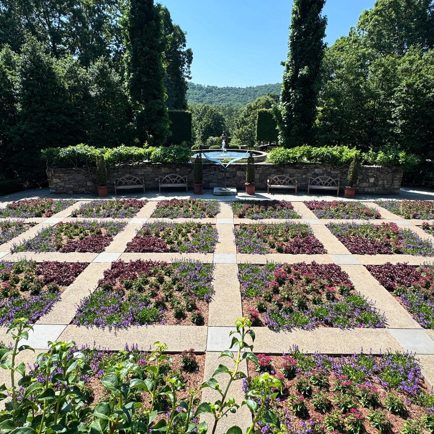 North Carolina Arboretum