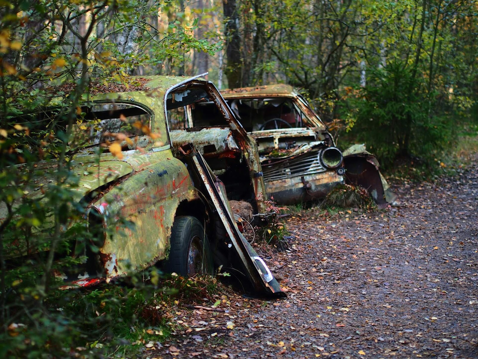 junk cars under the trees