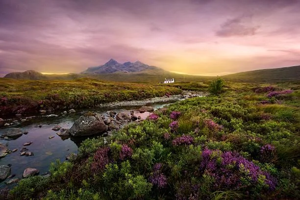 From Mountains to Forests: 20 Stunning Vistas, mountain photos, forest landscapes, nature, landscape, nature variety, wide scenery