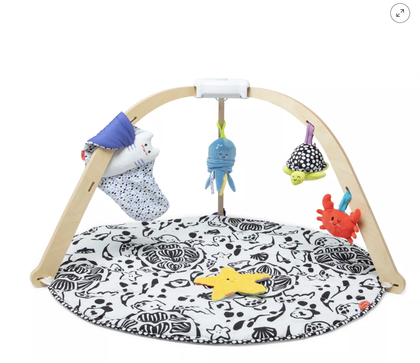 Melissa & Doug Ocean Oasis Easy Fold Play Gym at Target