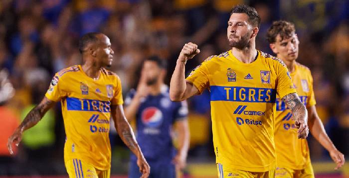 Nhận định soi kèo Tigres UANL vs Pachuca, 10h00 ngày 27/10: Đẩy khách xuống đáy