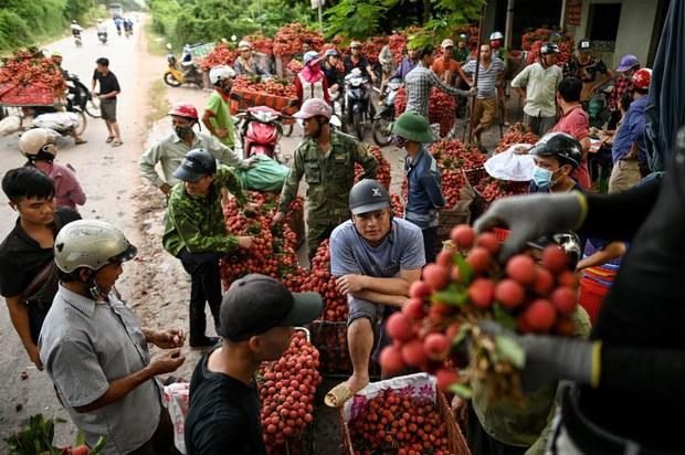 EU tăng bất thường số lượng cảnh báo đối với nông sản Việt Nam