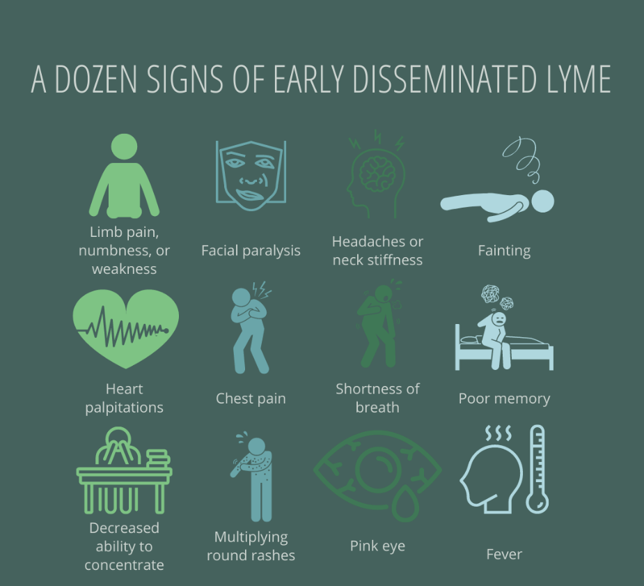 A chart of lyme disease

Description automatically generated