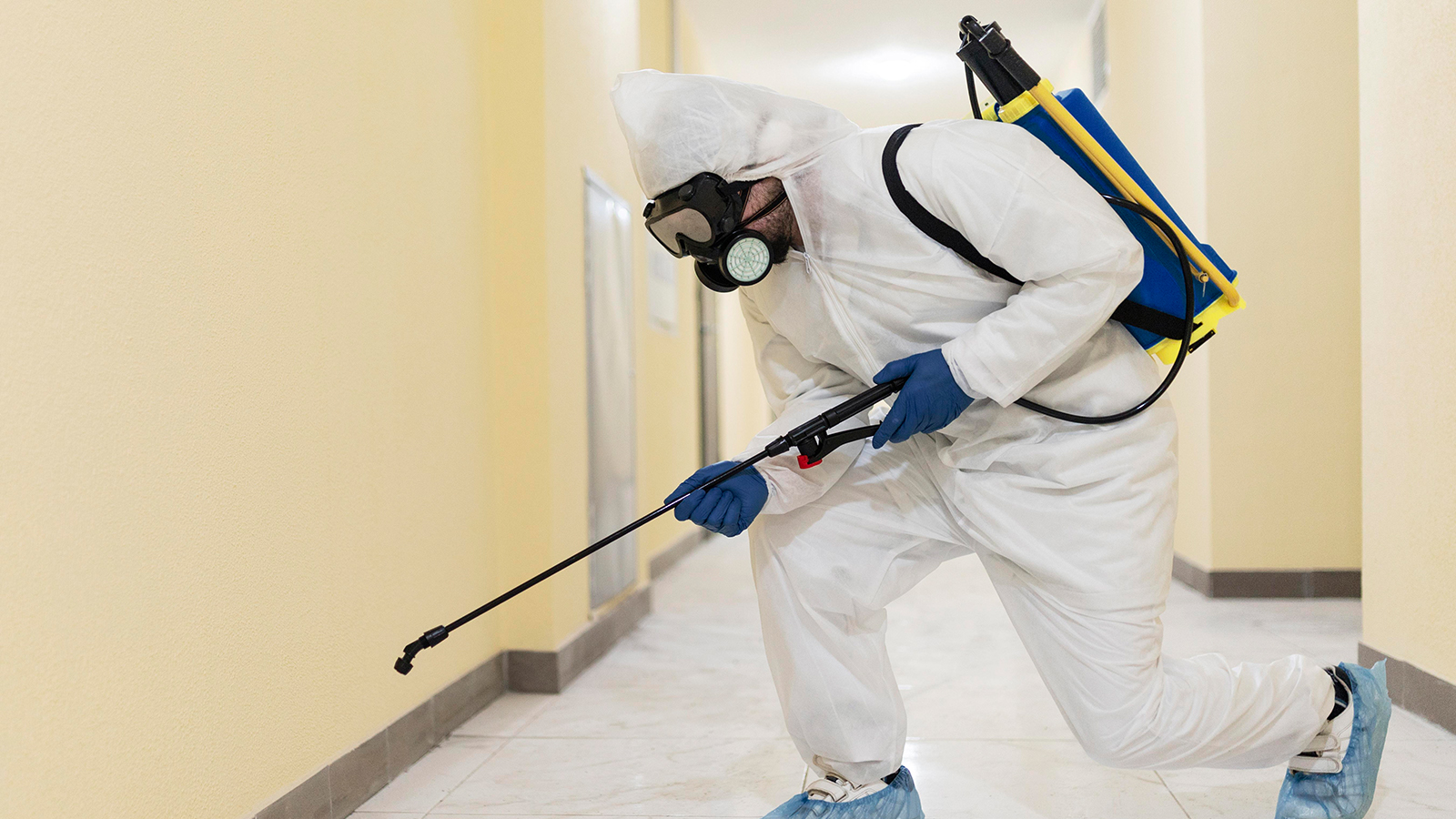 Preventing Future Mold Problems