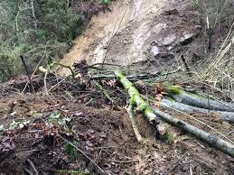 Heavy - rainfall, - landslides - have - been - triggered - across - various - regions - of - the - North - Bengal - hills.