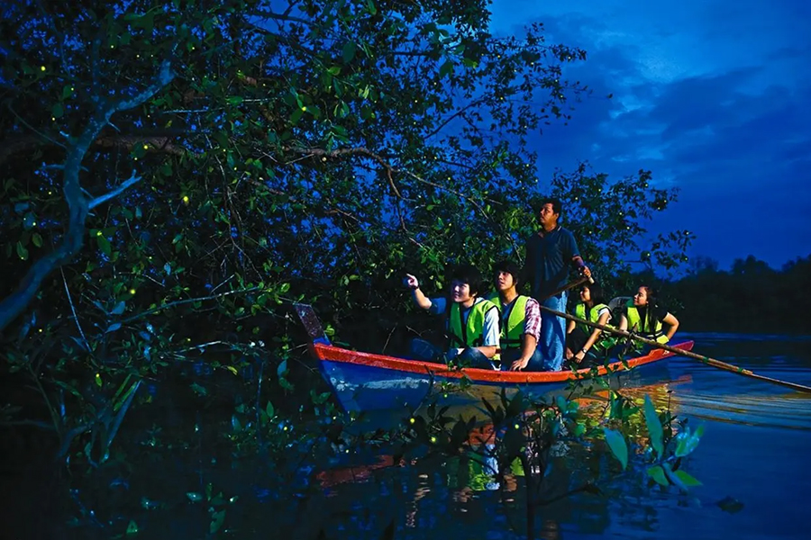 Kuala Selangor allie nature histoire et splendides feux d'artifice