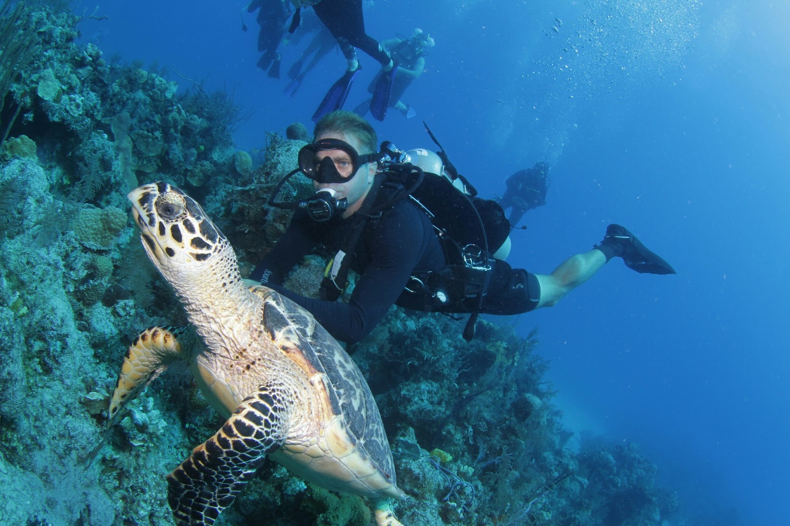 Escape to Isla Mujeres for secluded beaches and breathtaking scuba diving. 