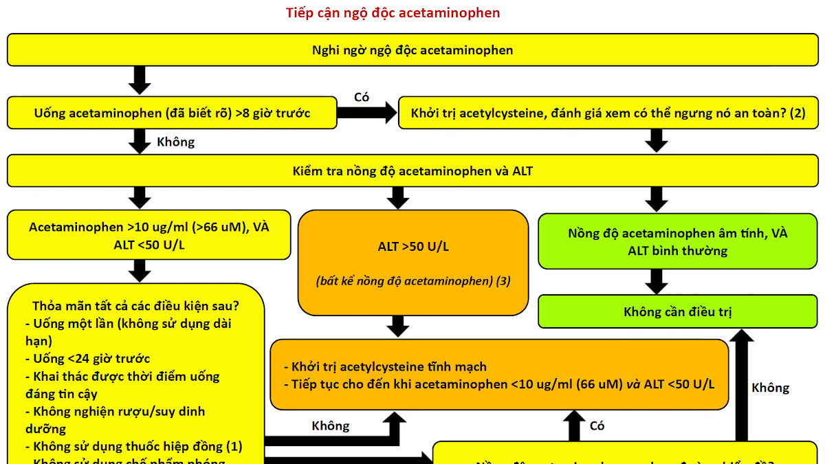 Ngộ độc Acetaminophen The Internet Book of Critical Care