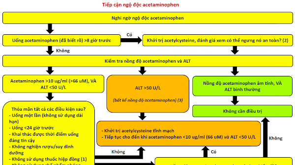 Ngộ độc Acetaminophen The Internet Book of Critical Care