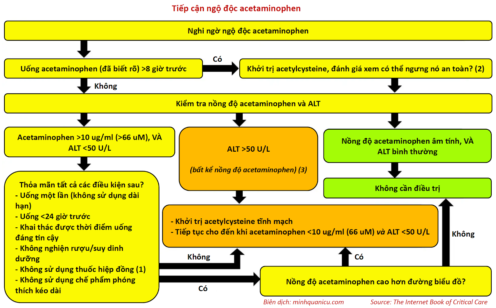 (1) Các thuốc có thể khuếch đại tổn thương gan: isoniazid, rifampin, phenobarbital, phenytoin, carbamazepine, TMP/SMX, zidovudine.
(2) Đừng trì hoãn acetylcysteine để chờ kết quả xét nghiệm: Khởi trị ngay lập tức. Tiếp tục đánh giá xem thử liệu acetylcysteine thật sự cần thiết hay có thể ngưng hay không.
(3) >24 giờ sau uống, bệnh nhân có thể bị tổn thương gan nặng với nồng độ acetaminophen âm tính. Những bệnh nhân này vẫn được hưởng lợi từ acetylcysteine cho đến khi tổn thương gan hồi phục.