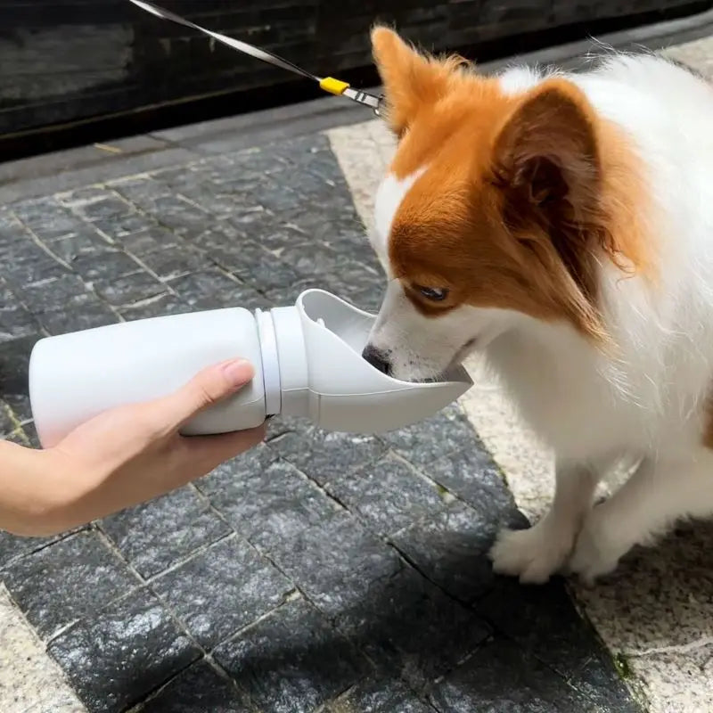 Foldable-Portable-Water-Dispenser