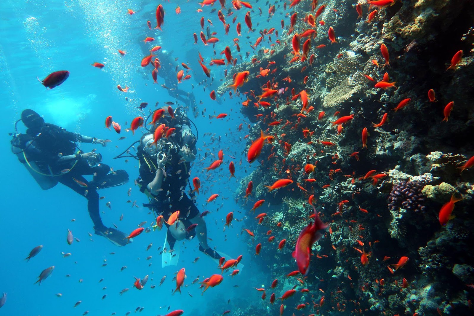Destinations for Scuba Diving