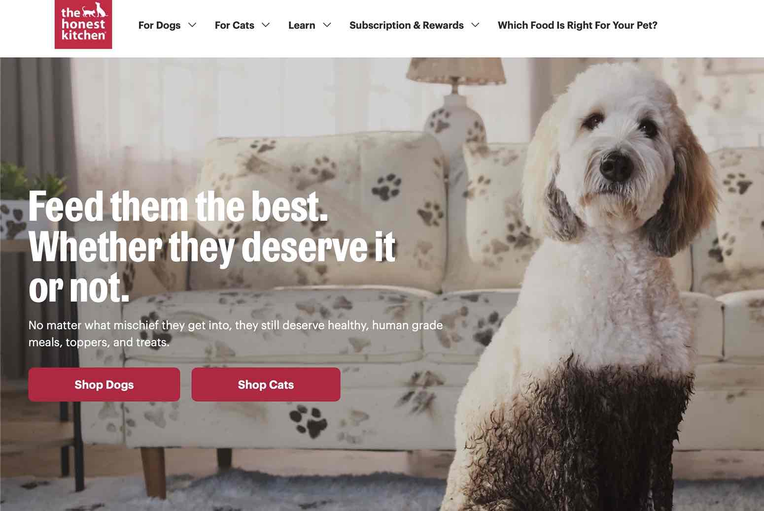 A screenshot of The Honest Kitchen as a pet brand looking influencers 