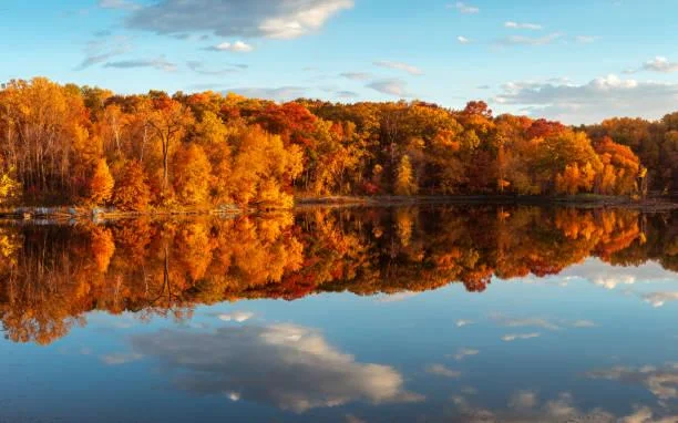 25 Photos That Celebrate the Wild, wild nature, untamed landscapes, nature, landscape, outdoor freedom, earth rawness