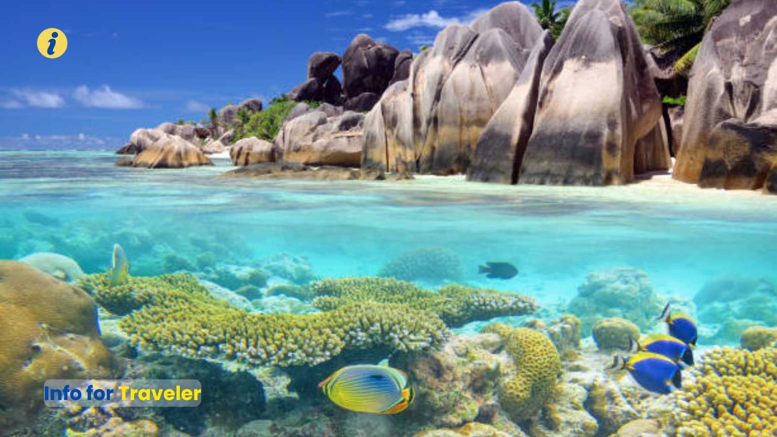 Nature and Wildlife of Secyelles
