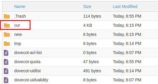 Cara Cepat Hapus Email Trash, Sent, dan Inbox di cPanel!