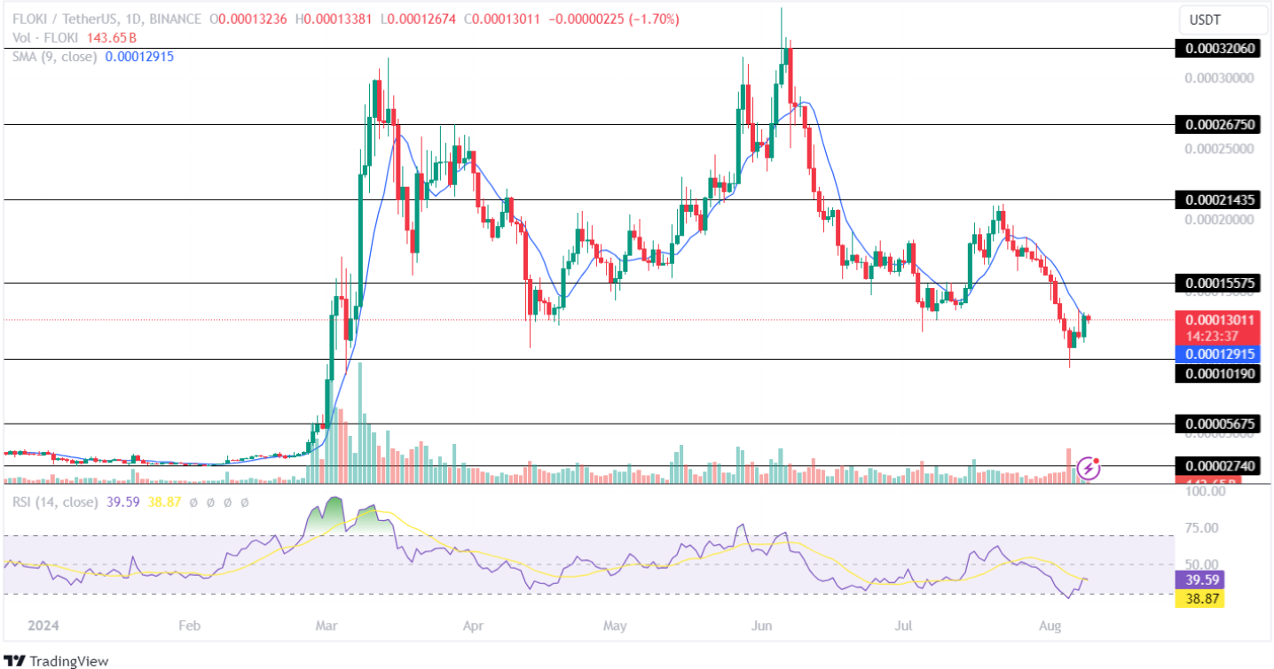 Floki Price Analysis