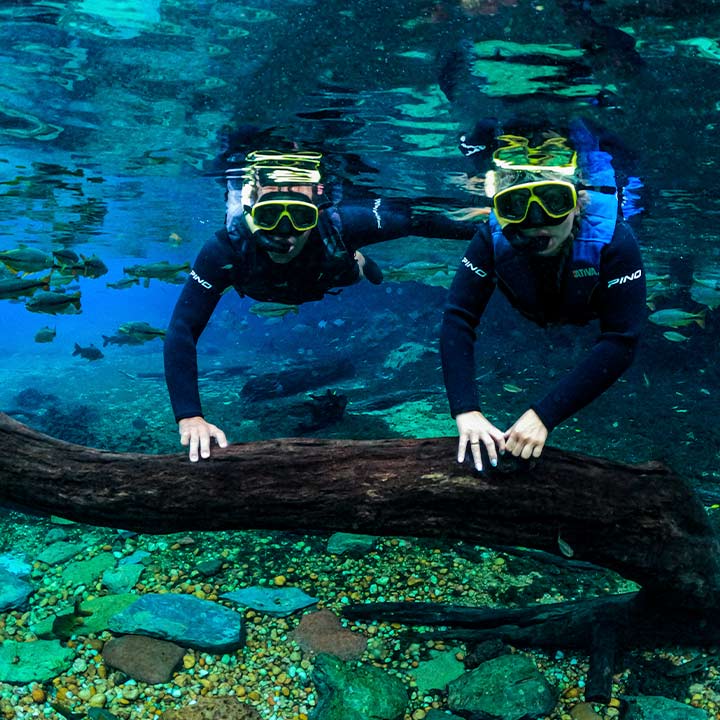 Duas pessoas praticando snorkeling em piscina de água cristalina, com corais, peixes coloridos, usando roupa de mergulho e máscara de proteção.