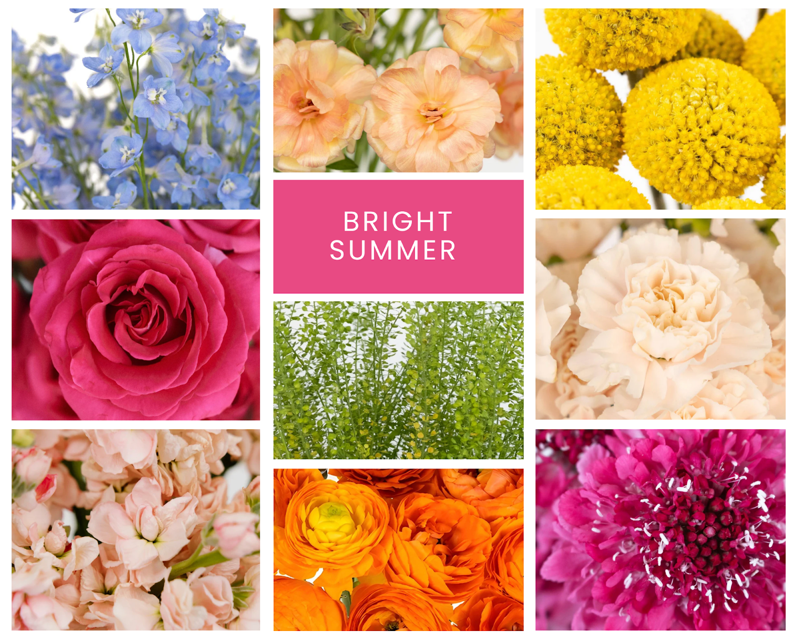 Bright Summer Flower Kit