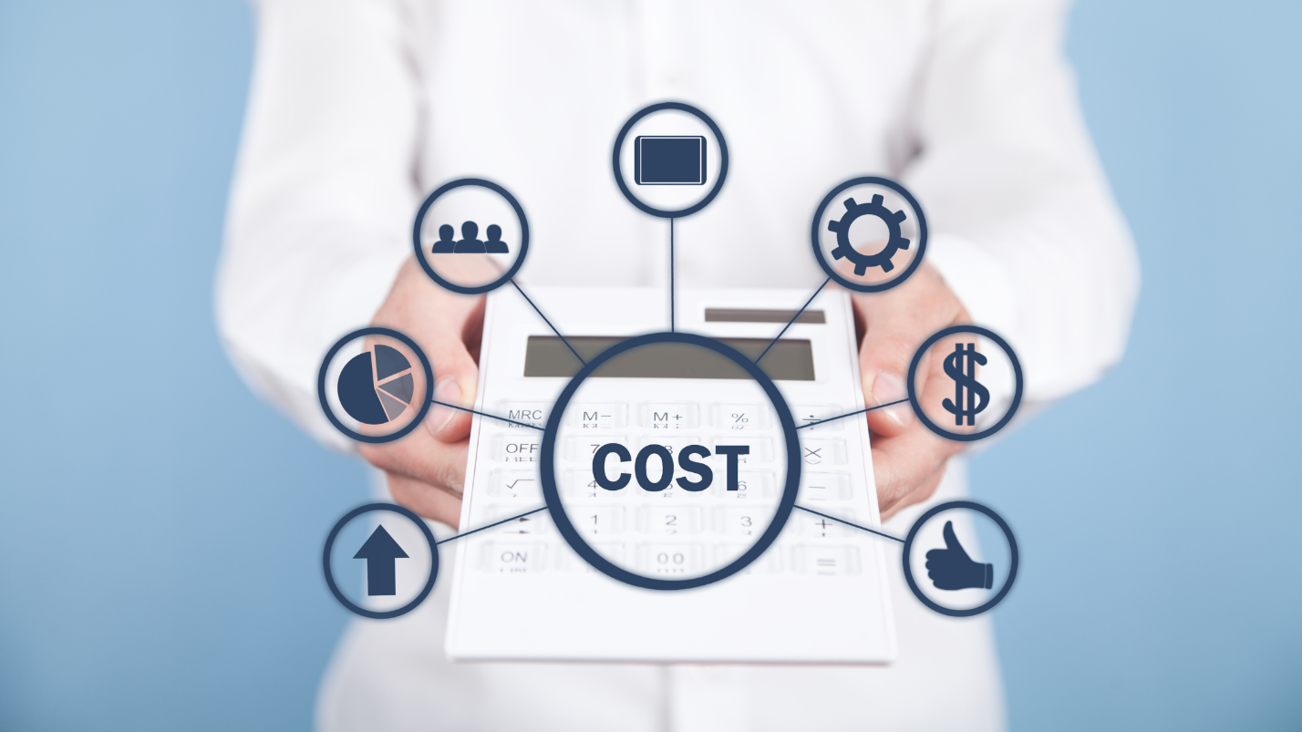 Flutter Cost Development
