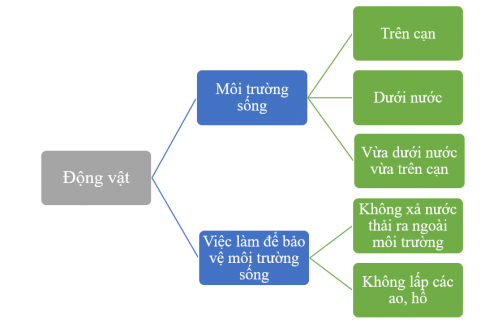 BÀI 20. ÔN TẬP CHỦ ĐỀ THỰC VẬT VÀ ĐỘNG VẬTTHỰC HÀNHCâu 1: Hoàn thành sơ đồ theo gợi ý sau:Đáp án chuẩn:VẬN DỤNG