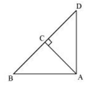 NCERT solutions for class 10 maths chapter 6-Triangles Exercise 6.5/image016.jpg