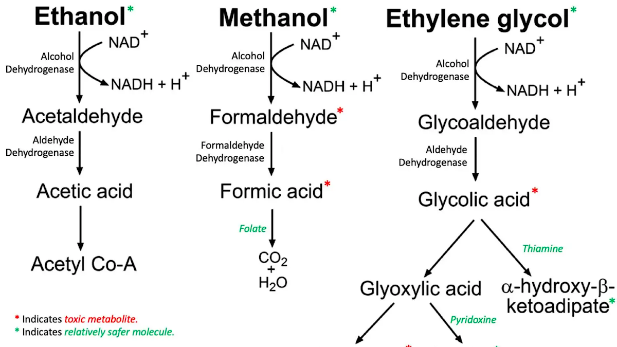 Ngộ độc methanol & ethylene glycol