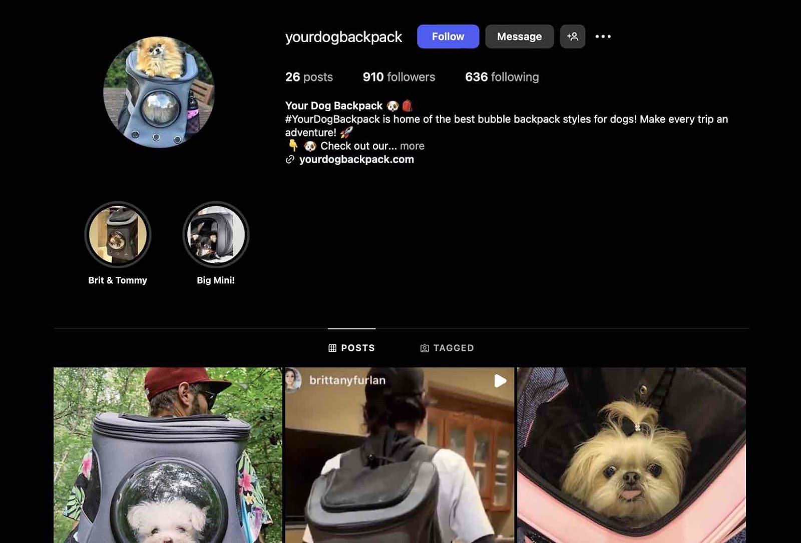 A screenshot of Your Dog Backpack as a pet brand looking influencers 