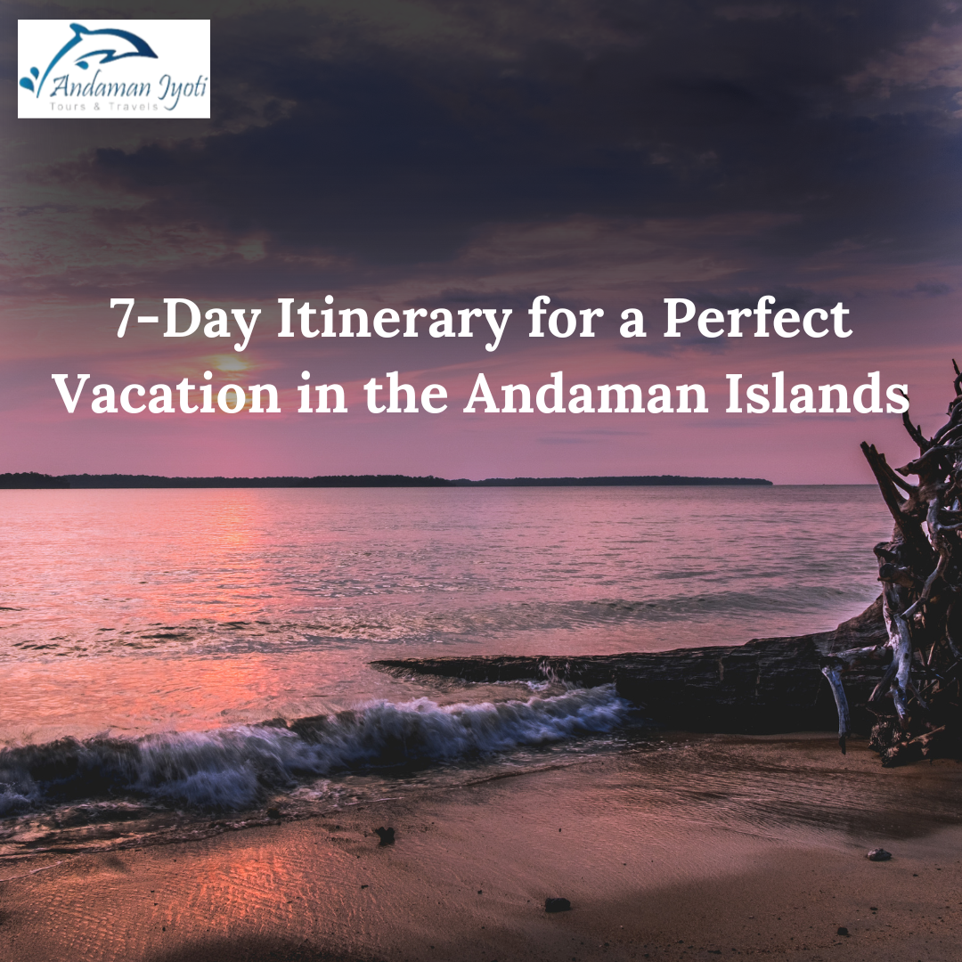 Perfect 7-Day Andaman Vacation Plan