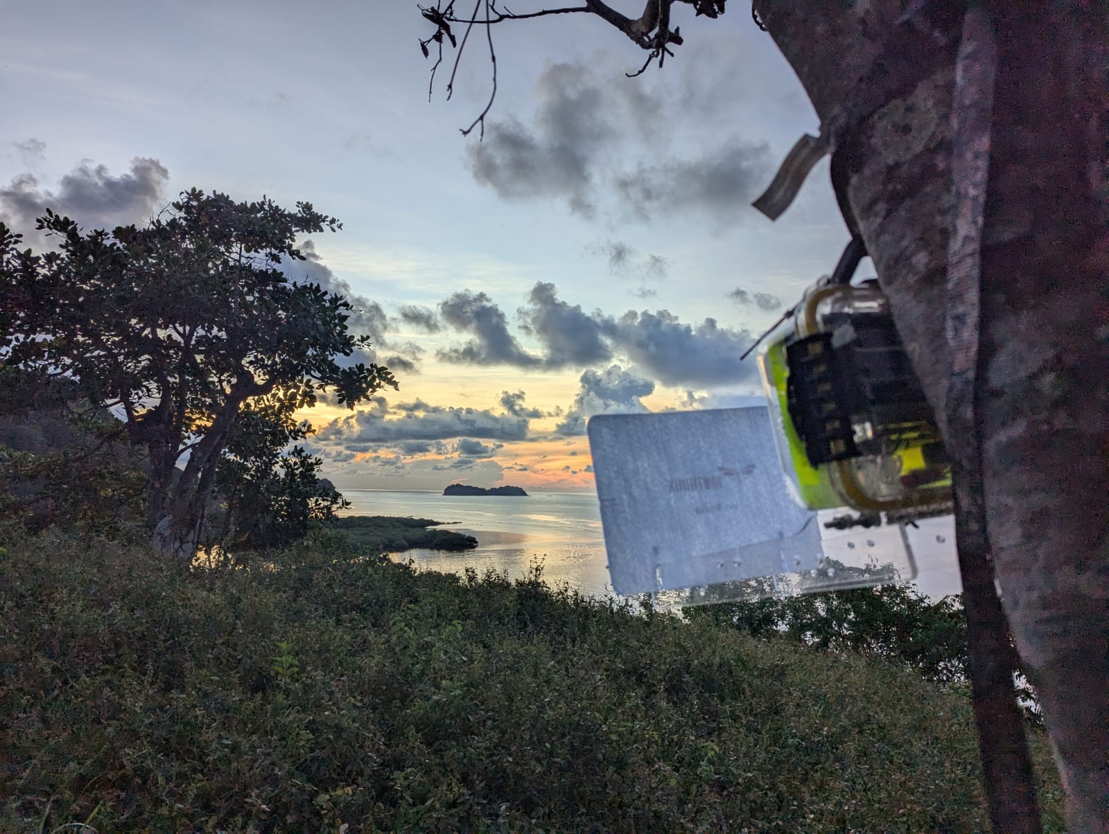 Photo of a Mothbox overlooking the Caribbean Sea in Jose Pobre