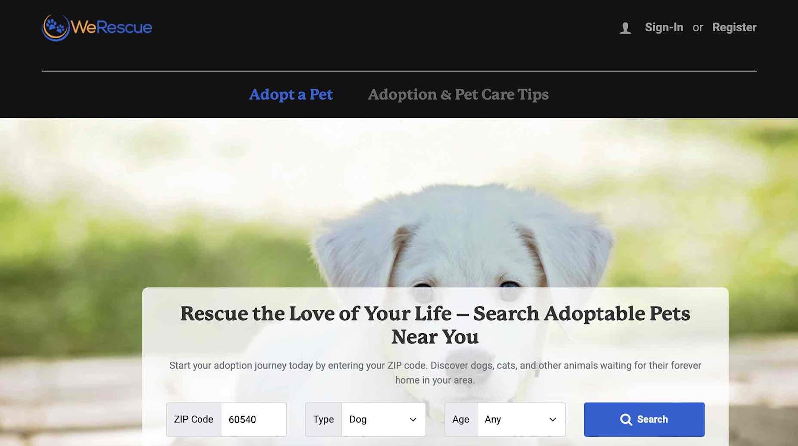 A screenshot of We Rescue as a pet brand looking influencers 