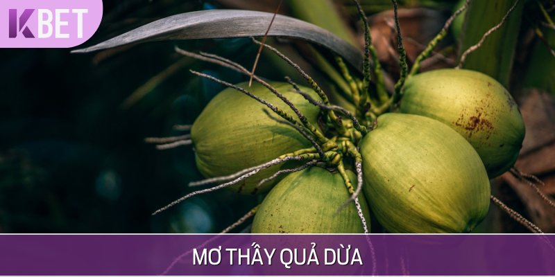 quả dừa