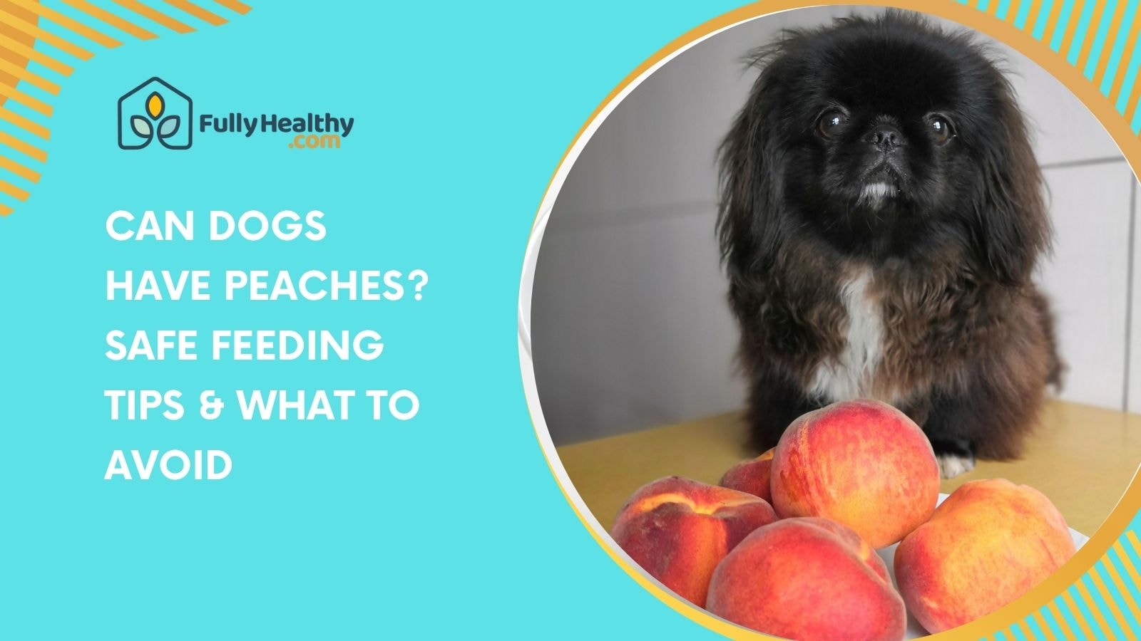 Can Dogs Have Peaches? Safe Feeding Tips & What to Avoid
