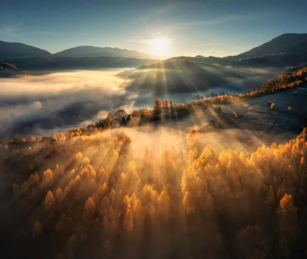18 Nature Photos Framed by Shadows, shadow frame, scenic outline, nature, landscape, light contrast, natural edge