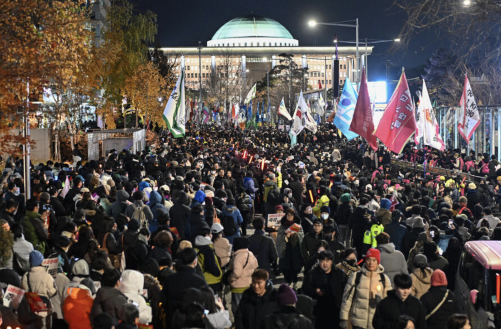 A picture of protests at the National Assembly