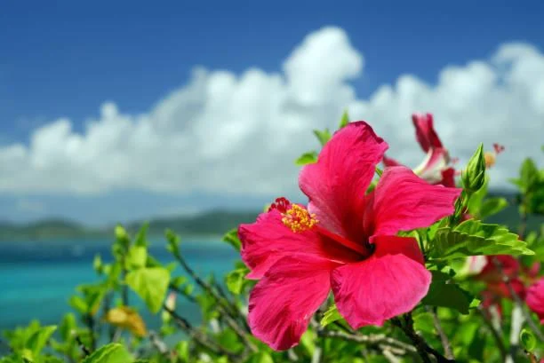 10 Peaceful Escapes Through the Lens of Nature, nature escape, peaceful lens, nature, landscape, travel peace, scenic getaways