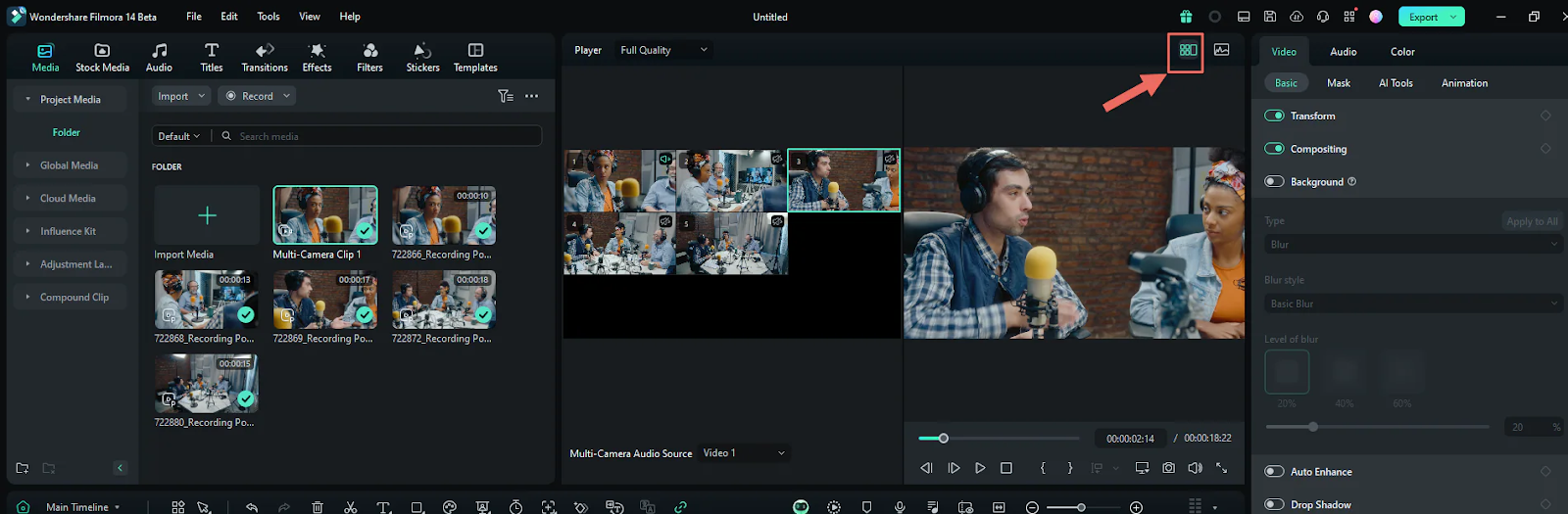switch multi-camera view