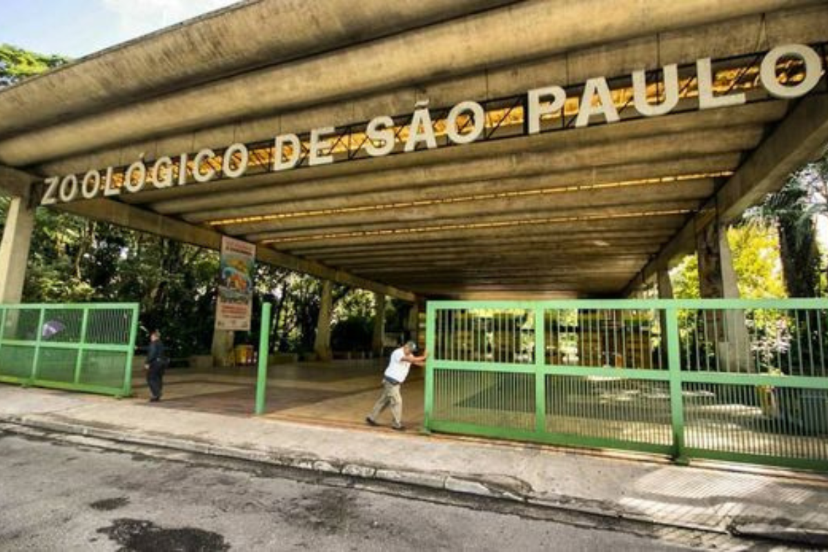 Zoológico de São Paulo é ideal para quem ainda não sabe Onde comemorar o dia das crianças em São Paulo